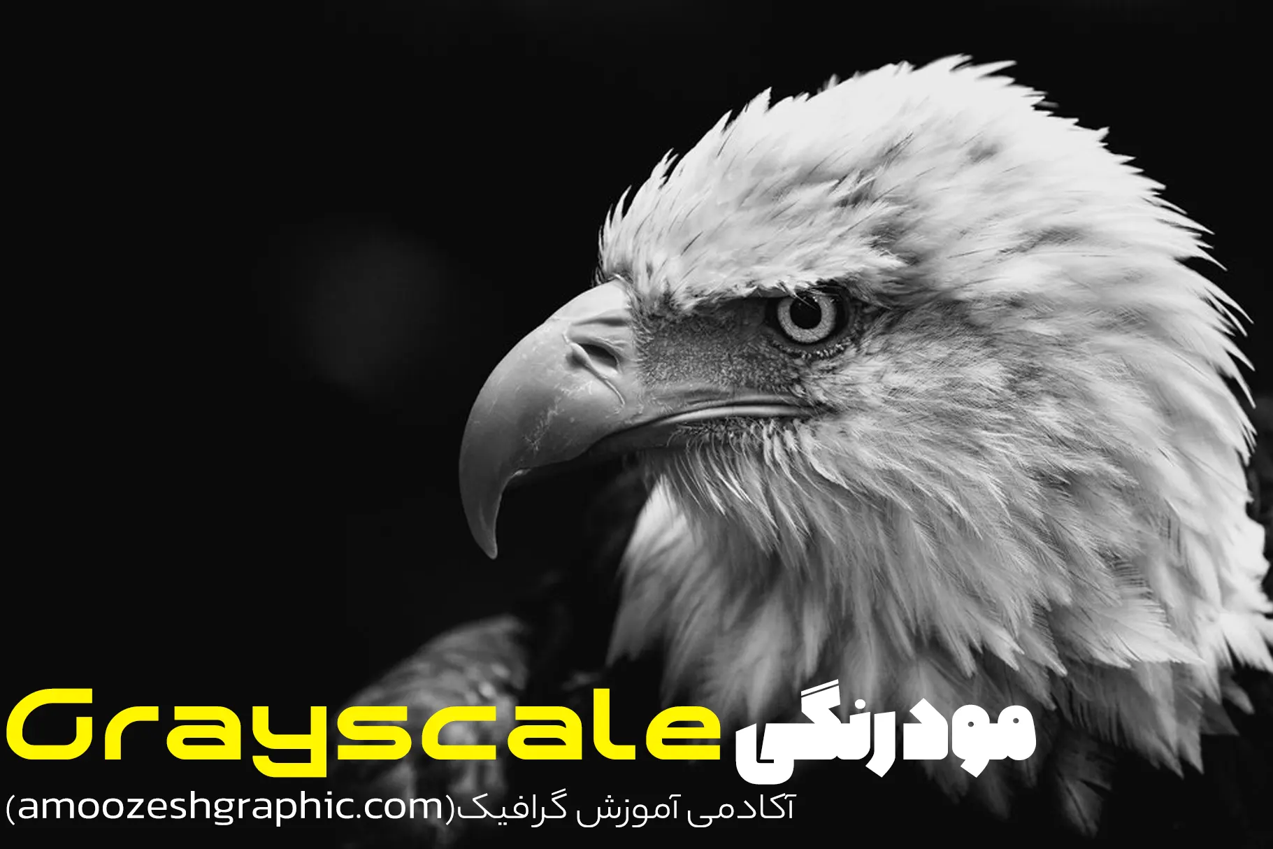 Grayscale حالت رنگی